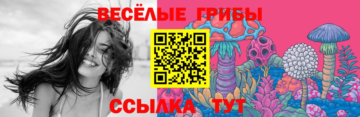 Моздок  Псилоцибиновые грибы Psilocybe  Вход с VPN 